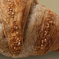 Vegan croissant  at Illy Caffé in Trieste