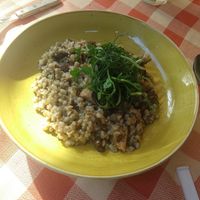 Pearl barley rizotto with forest mushrooms at Stég Pub Pizzéria in Tihany