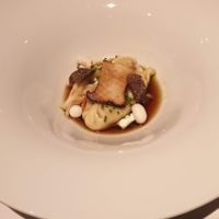 Gyoza with Mushrooms at Restaurant Sorriso in Frankfurt