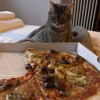   at Dieci Pizza in Geneva