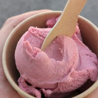 rhubarb at La Dolce Vita - Naturkonditorei in Weiden Am See