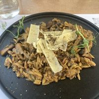 Mushroom orzo  at 5SENSES Restaurant in Santorini