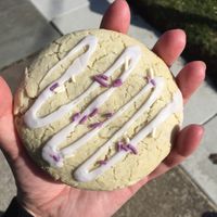Lavender sugar cookie at The Little Brownie in Rochester