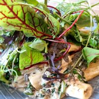 Pasta with spinach and mushrooms at Posthuset in Esbjerg