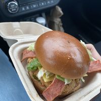 The Deluxe at Project Pollo - Anderson Lane in Austin