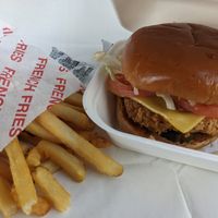 Deluxe with fries at Project Pollo - Anderson Lane in Austin