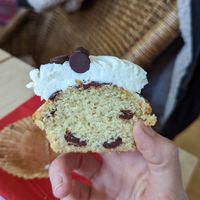Vegan chocolate chip cupcake at Superhero Records in Berlin