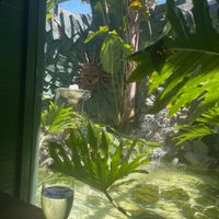   at Ambrosia India Bistro in Monterey