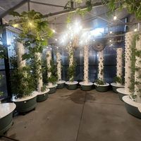 Their amazing greenhouse!!!  at The Green House in Wilmington