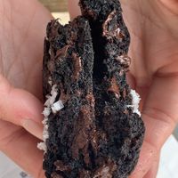 Black out cookie was the best  at Druthers Coffee in Stony Brook