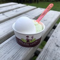 Lemon and Mojito ice cream at Gelato Farm Teuven in Voeren