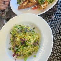 Tofu Tartine and Risotto at Tartine Bistro in Rocky River