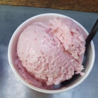 Boysenberry Oat Milk Sherbet at Salt & Straw in Portland