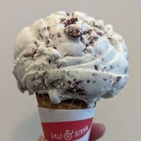 Freckled Mint Chocolate Chip at Salt & Straw in Portland