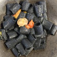 Homemade carbon pasta with veggies  at il Bosco delle Galline Volanti in Barolo