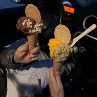 Gusti 100% vegetali : cioccolato, nocciola, pistacchio e zucca   at L'albero dei Gelati in Monza