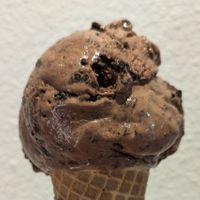 Grasshopper at Ice Cream Renaissance in Vancouver