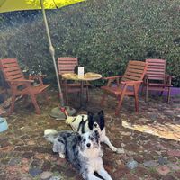   at Cafe Mojo in Mundaring