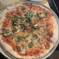 Vegan cheese pizza with mushrooms at Shotti's Point in Ocean City