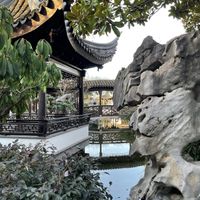   at The Tao of Tea in Portland