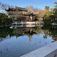   at The Tao of Tea in Portland