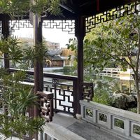   at The Tao of Tea in Portland