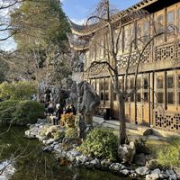   at The Tao of Tea in Portland