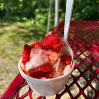 Kiddie sized vegan strawberry w strawberry topping at Rota Spring Ice Cream in Sterling
