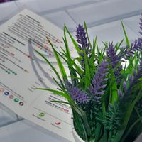  at O Mexilón in Ourense