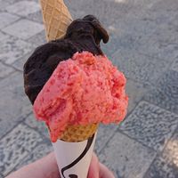  at Gelateria Gentile  in Bari