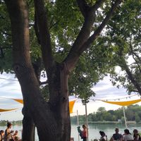 Der Blick....😍 at Kiosk an der Schlicht in Neuhofen