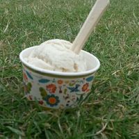 Vegan vanilla ice cream in a tub at Street food North East - Ice Garden in Alnwick