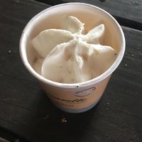 Vegan vanilla tub at Street food North East - Ice Garden in Alnwick