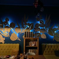   at Kashmir in Brasov