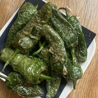   at Shuk in Antwerpen