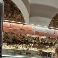 Clearly labeled vegan options for ice cream at Gelateria Romantika 2 in Ljubljana