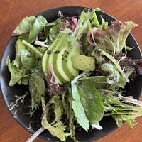   at The Gillies Cafe in Yungaburra