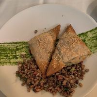 Crispy, tofu/veggie stuffed spanakopita at True Bistro in Somerville