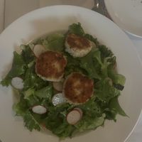 mesclun with warm cheese rounds   at True Bistro in Somerville