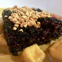 Black rice curry with tofu at True Bistro in Somerville