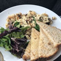 Scrambled tofu with spinach and mushrooms 10/10 at True Bistro in Somerville