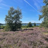 Just outside of the restaurant, you can walk here and have a stop at the restaurant with a nice vegan meal and cold drinks!  at Bosbrasserie In de Sluis in Well
