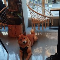 Interior :) at Boho in Lodz