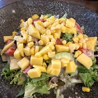 the vegan salad  at Tactic Beach in Castelldefels