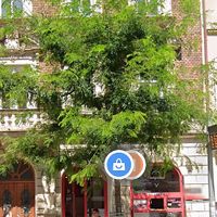   at Zmrzlinářství Campione Gelato in Plzen