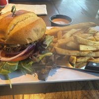 Vegan black bean burger with fries  at Blazing Onion Burger Company in Mill Creek
