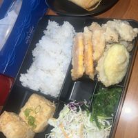 Mixed tempura & fried tofu big bento + spring rolls   at Bento Shoreline in Howrah