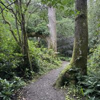 Mirehouse Gardens  at The Old Sawmill Tearoom in Keswick