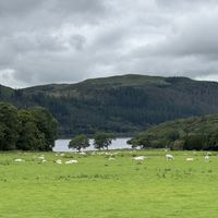 Mirehouse Gardens  at The Old Sawmill Tearoom in Keswick