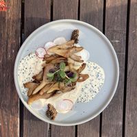 Austernpilze  at Place to V in Lenzen Elbe